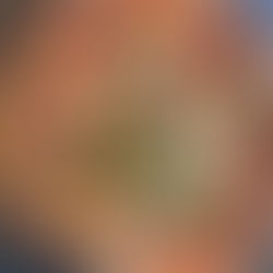 How to Bake a Perfect Pizza in a Regular Oven