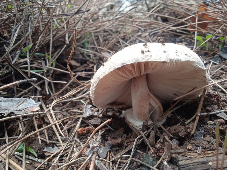 WhatsApp Image 2021-12-14 at 19.20.52 (1).jpeg