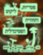 פטריות ליקוט והחוויה הפסיכדלית