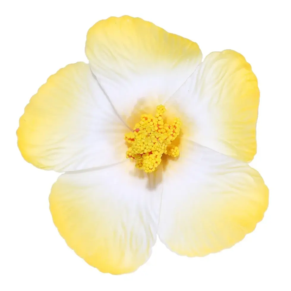 Thumbnail: Tropical  Flower Hair Clips 