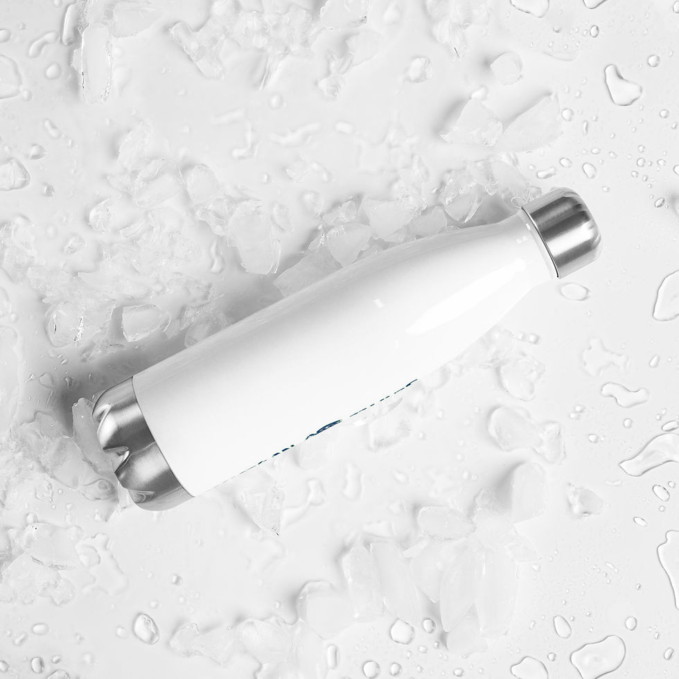 Thumbnail: Stainless steel water bottle