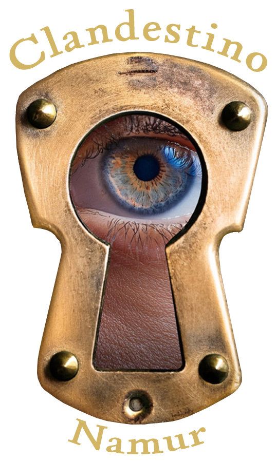 24062025 - Logo Clandestino-Transp-01 copie.png