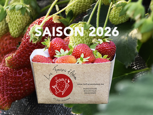 Saison 2026