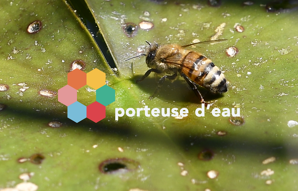 Forte chaleur