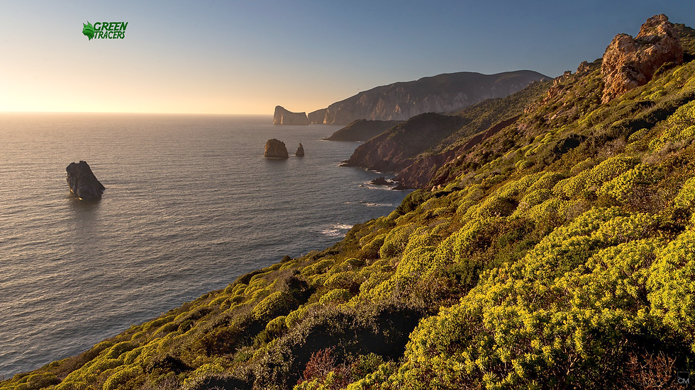 De rotsachtige kust van Sardinië, met begroeide heuvels en rotsen in zee bij laagstaande zon.
