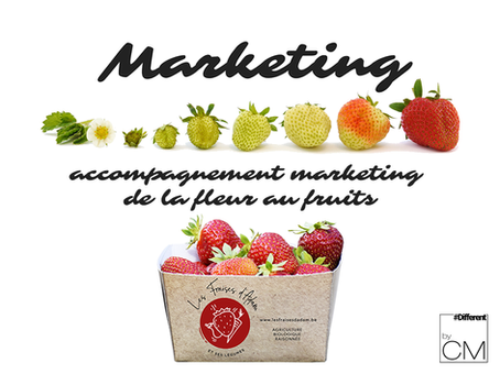 Sous-traiter votre marketing