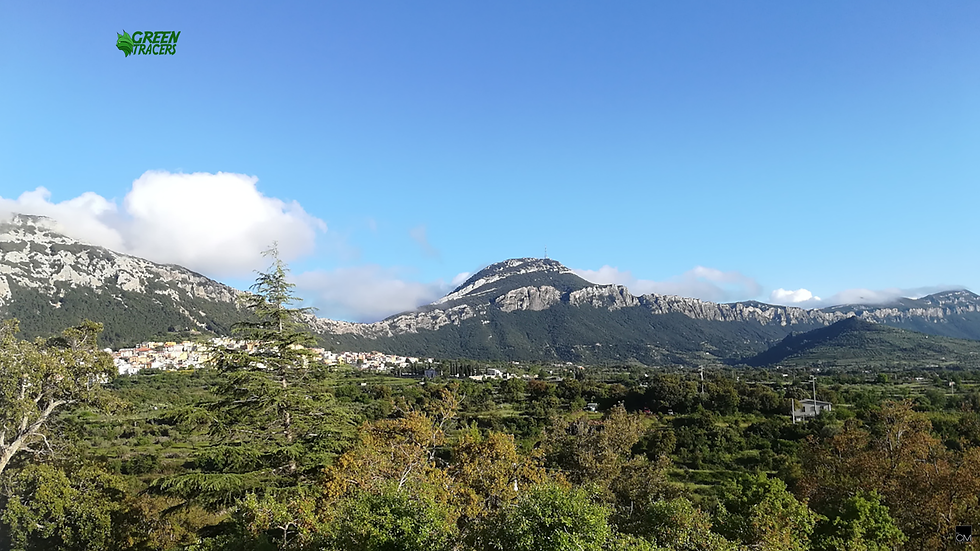Een dorp en groen aan de voet van rotsachtige bergen op Sardinië.