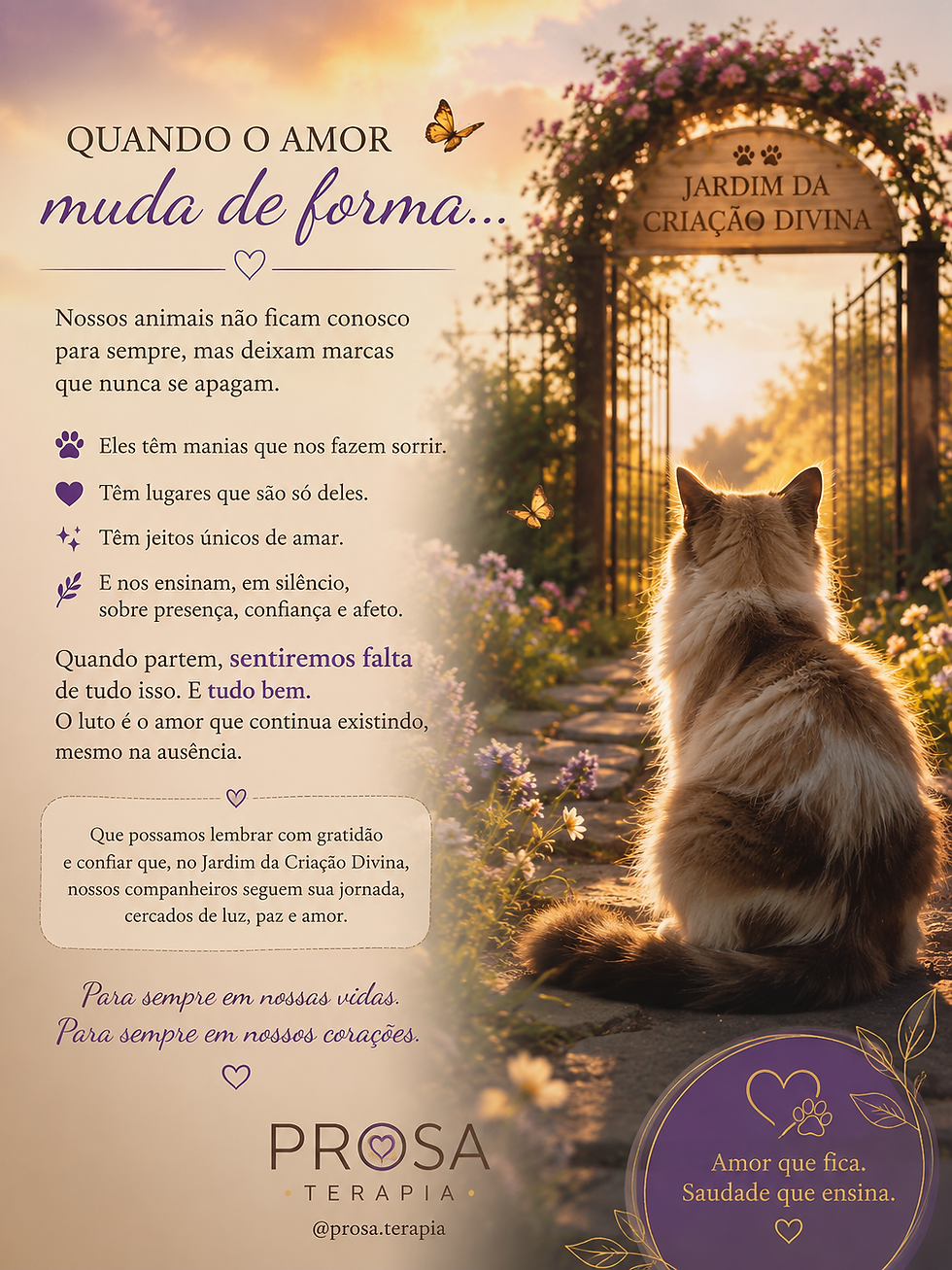 Quando o Amor muda de forma: sobre o luto e os nossos companheiros de quatro patas