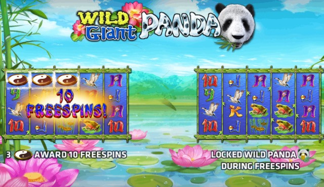 เกม Wild Giant Panda