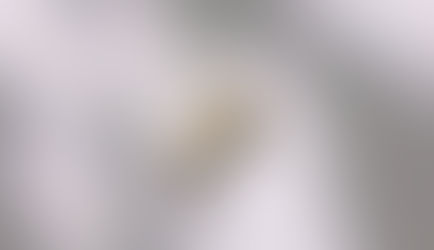 New accessories 入荷しました✨