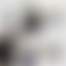 洋装の人気撮影シーンランキング🎬✨