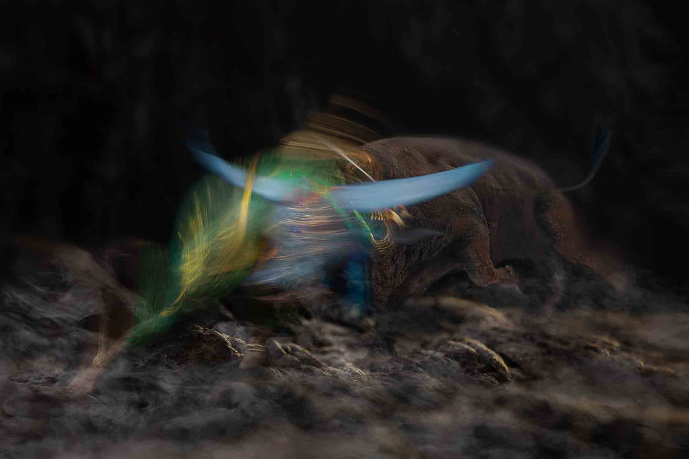 ree