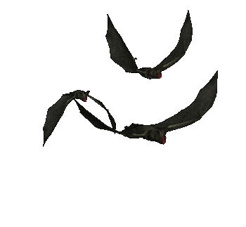 pipistrelli che volano