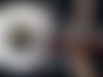 Prenatal Spinal Development: A Medical Astrology Assessment