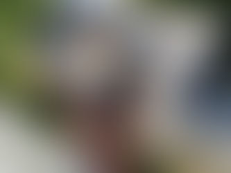 Did you know we are FAA Part 107 certified?