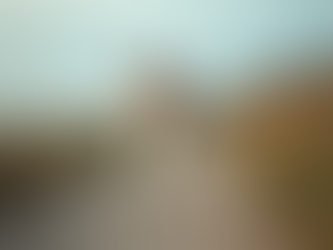 Top Pet Care Services for Your Pets