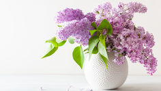 Scented Spring