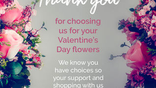 FREE Social Media Assets from eflora