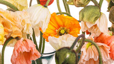 Summer Flowers from UK Growers featuring Floristry Tips from Su Whale