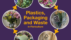 Tackling Plastics, Packaging & Waste in Floristry