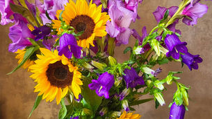 Five Floral Designs Showcasing Campanula