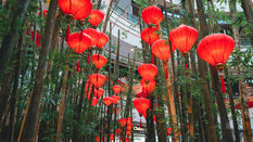 Happy Chinese New Year!