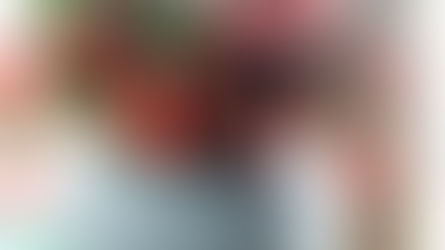 A Cactus for Christmas