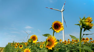 Sustainability: How to Switch to a Green Energy Supply