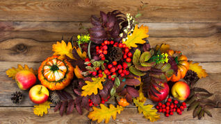 Pumpkins, Gourds and Autumnal Foliage – Ideas for Autumn Gifts