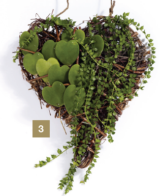 green heart shaped arrangement