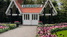 Keukenhof in Bloom