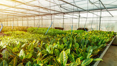 Understand the MPS-ABC Certification System for More Sustainable Sourcing