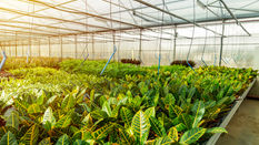 Understand the MPS-ABC Certification System for More Sustainable Sourcing