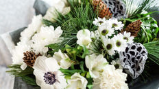 Winter Flowers and Foliage in Designs