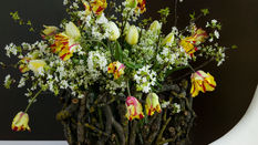 Bare Essentials Foliage featuring Floristry Tips From Su Whale