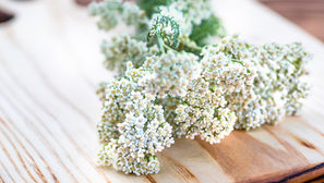 Wildflowers for Brides