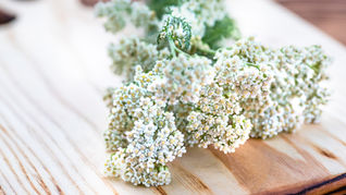 Wildflowers for Brides
