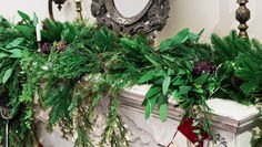 Getting Your Winter Greens