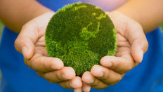 Sustainability: How to Avoid Energy Greenwashing
