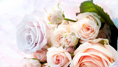 Seasonal Flower of the Month: Roses