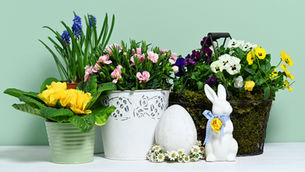 Don't Miss Out on Easter Sales