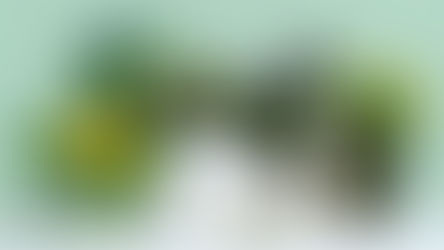 Don't Miss Out on Easter Sales