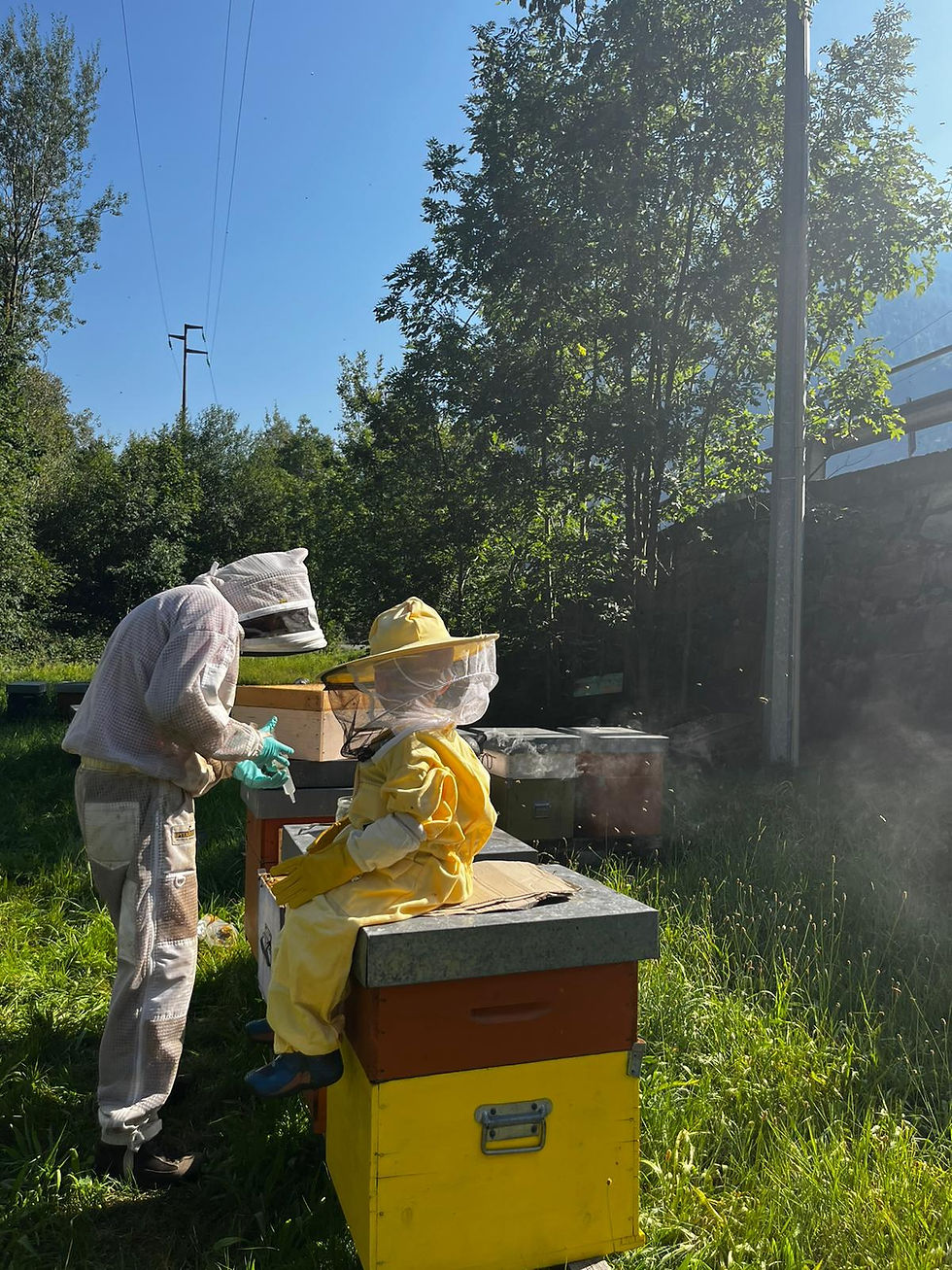 L'azienda apistica Le Api delle Alpi, fondata da Mattia Fragiacomo a Donnas (Aosta), nasce da zero, mossa unicamente da una profonda passione per la montagna. Dopo un rigoroso apprendistato sotto la guida di un esperto maestro valdostano, Mattia ha trasformato il suo sogno in una realtà che si sviluppa in modalità biologica d'eccellenza, basata sul nomadismo a corto raggio, arrivando fino in pianura. La vera particolarità dell'azienda risiede nell'apicoltura eroica d'alta quota. I suoi alveari vengono spostati seguendo le fioriture spontanee montane, lontano da qualsiasi fonte di inquinamento. L'eccellenza assoluta si riflette nei prodotti di punta: il pregiato miele di Rododendro, il Millefiori di Flora Alpina e il miele di Castagno. Ogni vasetto racchiude un miele integrale e vivo, che non subisce mai processi di pastorizzazione o trattamenti termici, preservando intatti aromi, enzimi e proprietà nutritive naturali. Quali sono i focus aziendali e la vostra filosofia produttiva? “L'at