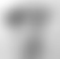 Anton, il primo Apicoltore sloveno: