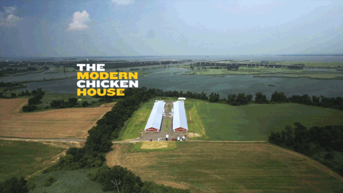 ModernChickenHouse.gif