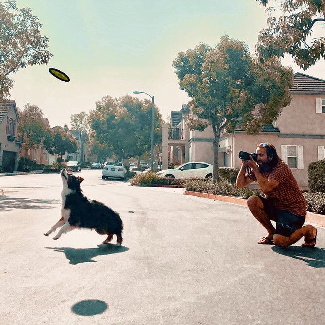 Irvine Animal Care Center 2021 Photo Fundraiser