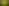 tennis-ball.jpg