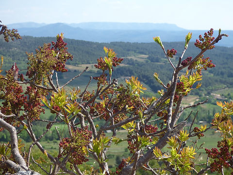 P1000450.JPG
