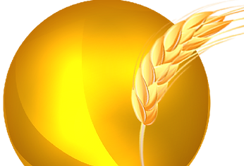 logo (без фона).png 2014-6-30-17:7:27 20