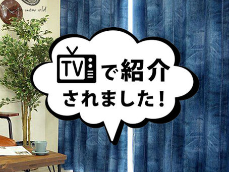 2023年11月10日 メディア情報